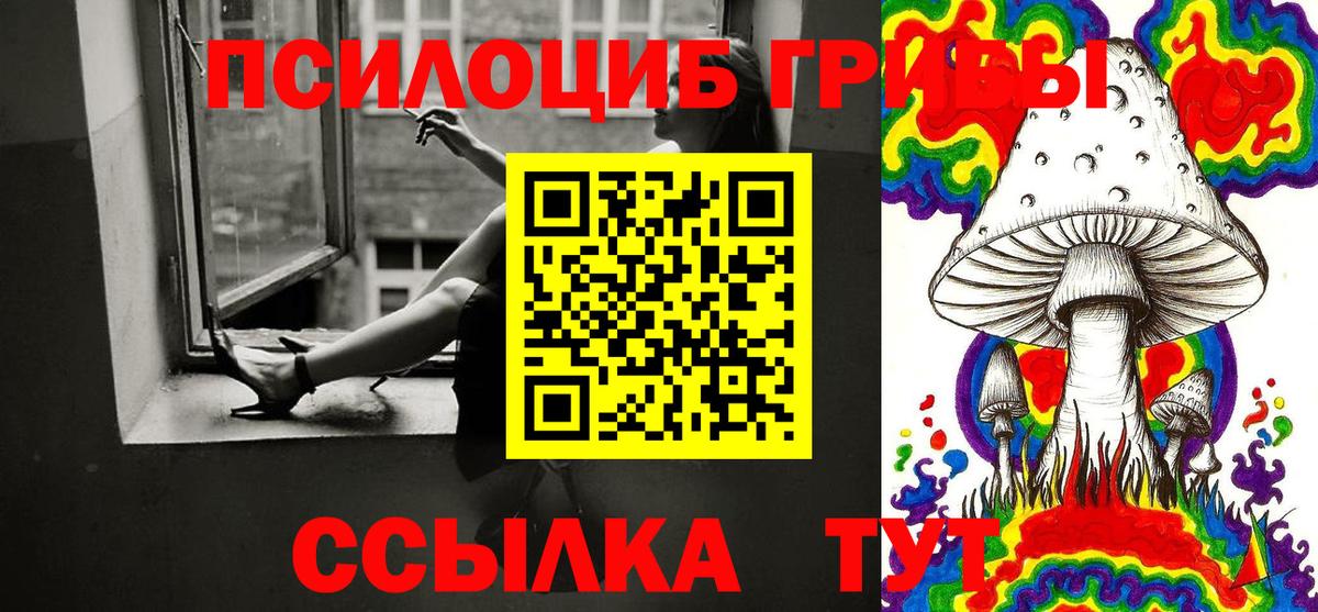 Псилоцибиновые грибы Psilocybine cubensis Усть-Джегута