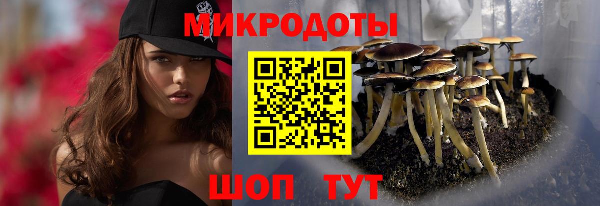 Усть-Джегута  Псилоцибиновые грибы прущие грибы  Вход с VPN 